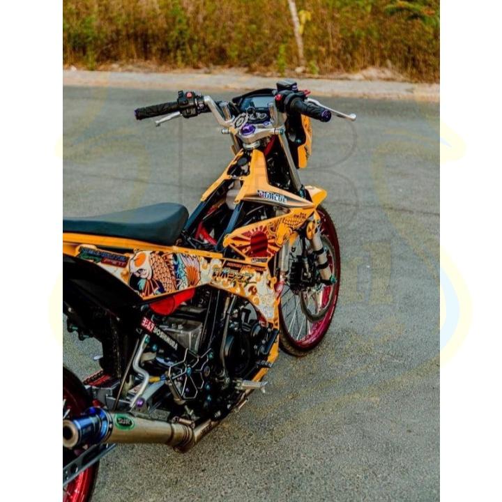 Tem rời dành cho raider fi cá chép vàng