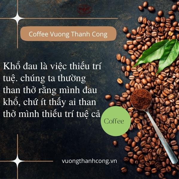 Cà phê rang mộc nguyên chất Vương Thanh Công, cà phê thơm ngon, hậu ngọt tại Buôn Ma Thuột, theo quy trình hữu cơ