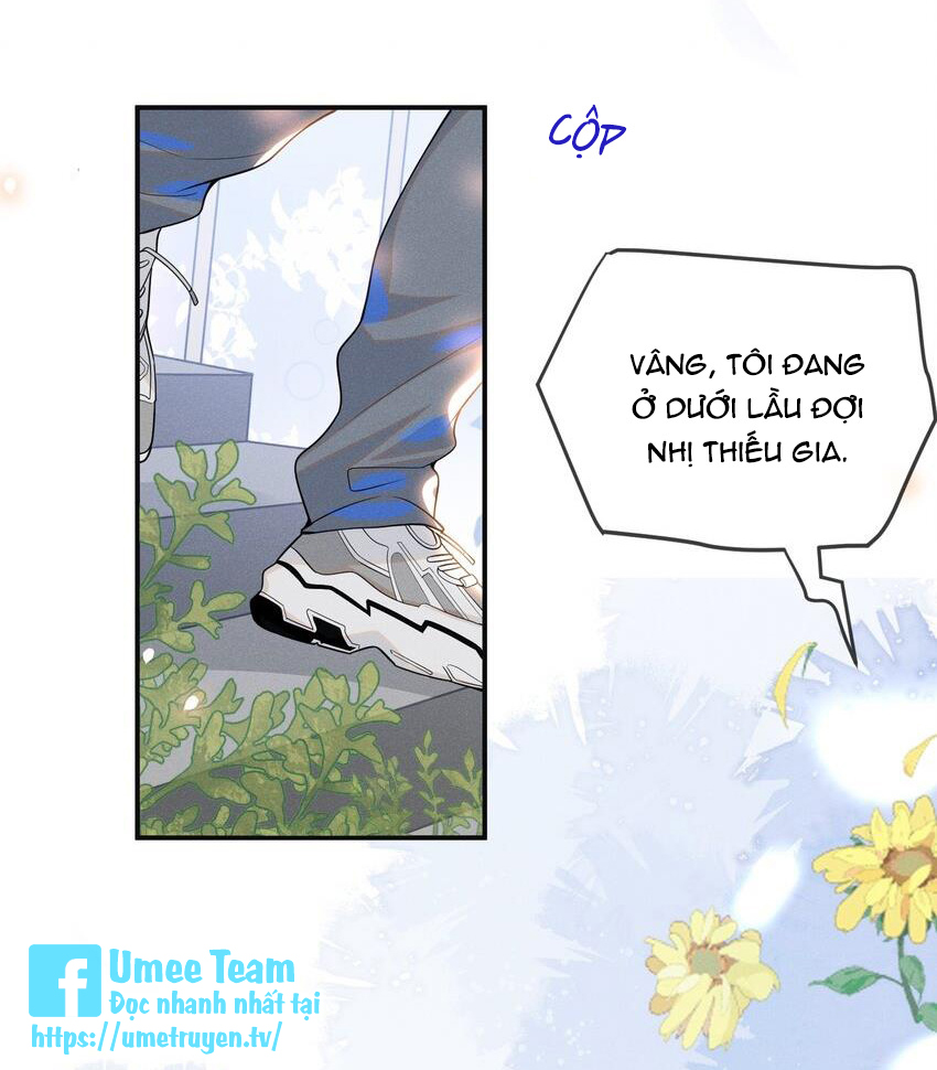 kiếp sau không gặp chapter 51 4