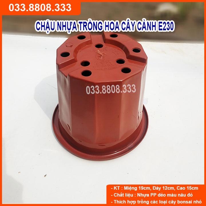 5 Chậu Nhựa Nâu Trồng Cây E230 - Chậu Bền Đẹp
