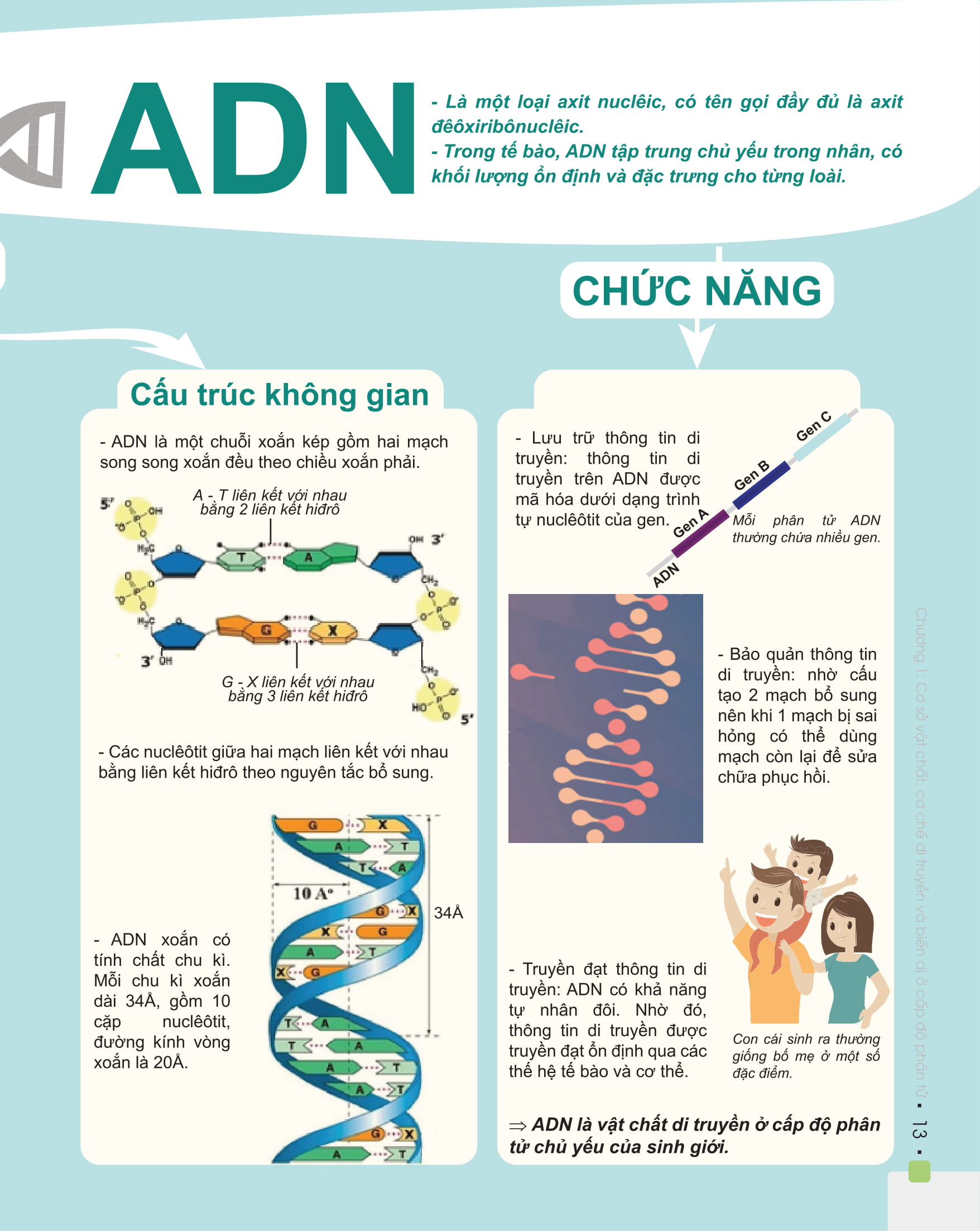 Combo Đột phá 8+ Môn Toán tập 1, Sinh học