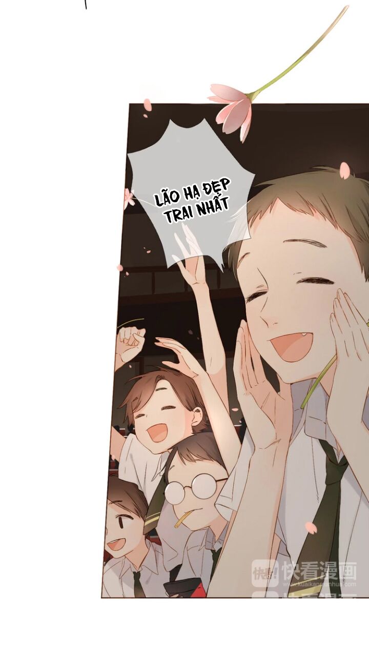 Tình yêu là màu hoa anh thảo chapter 36.2 26