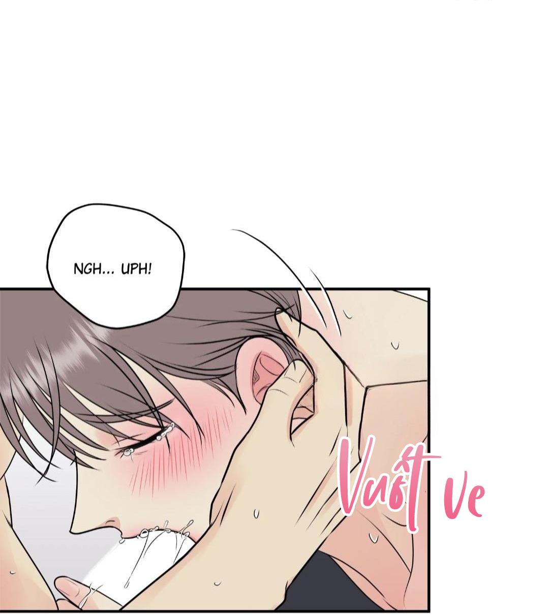 hạnh phúc trọn vẹn chapter 19 14