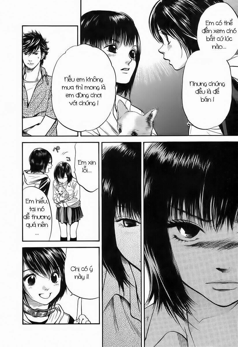 cô nàng yêu chó chapter 41 12