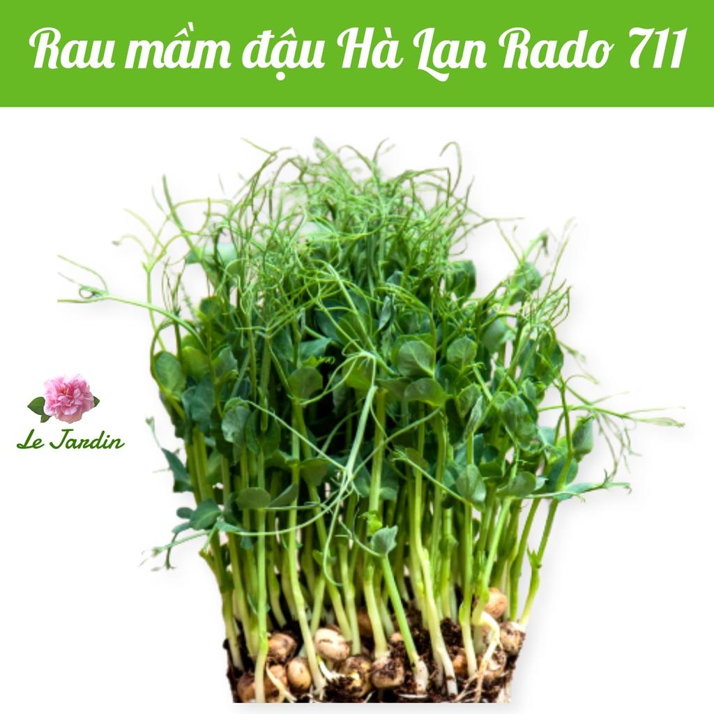 Hạt giống rau mầm đậu hà lan gói 50gr - Giàu đạm
