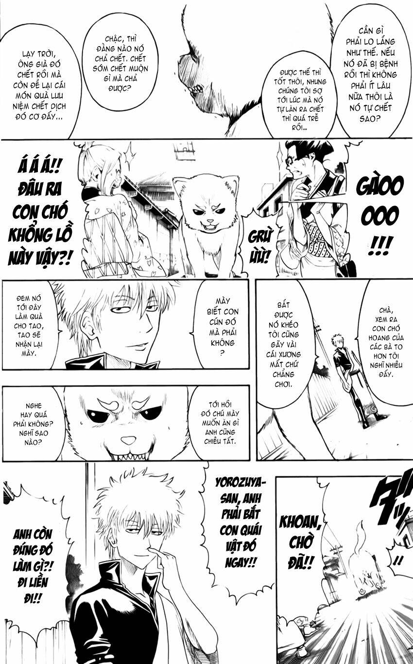 gintama - linh hồn bạc chapter 402 9