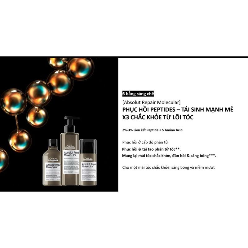 Bộ dầu gội xả Serum hấp ủ L'Oreal ARM Absolute Repair Molecular siêu phục hồi cấp phân tử Peptides (xám)