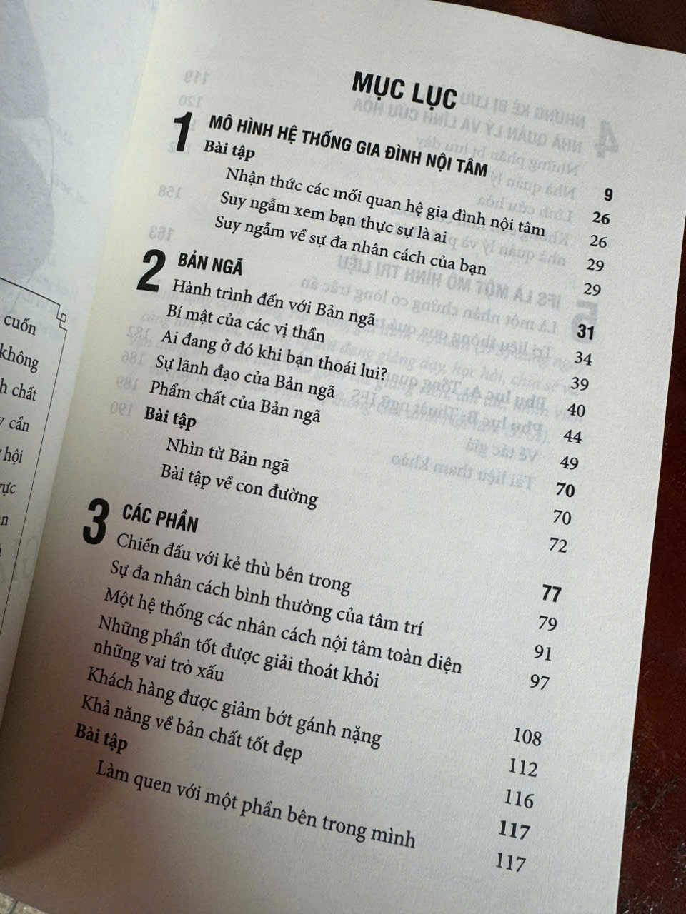 LIỆU PHÁP HỆ THỐNG GIA ĐÌNH NỘI TÂM: Trân Trọng Các Phần Tâm Trí Trong Bạn - Richard C. Schwartz Ph.D – Phi Yến dịch – Thái Hà Books – NXB Thế Giới