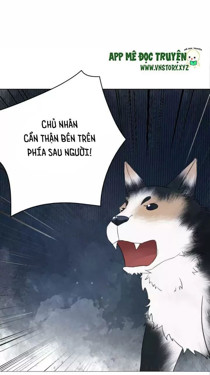 cực phẩm phế vật tiểu thư chapter 106 35