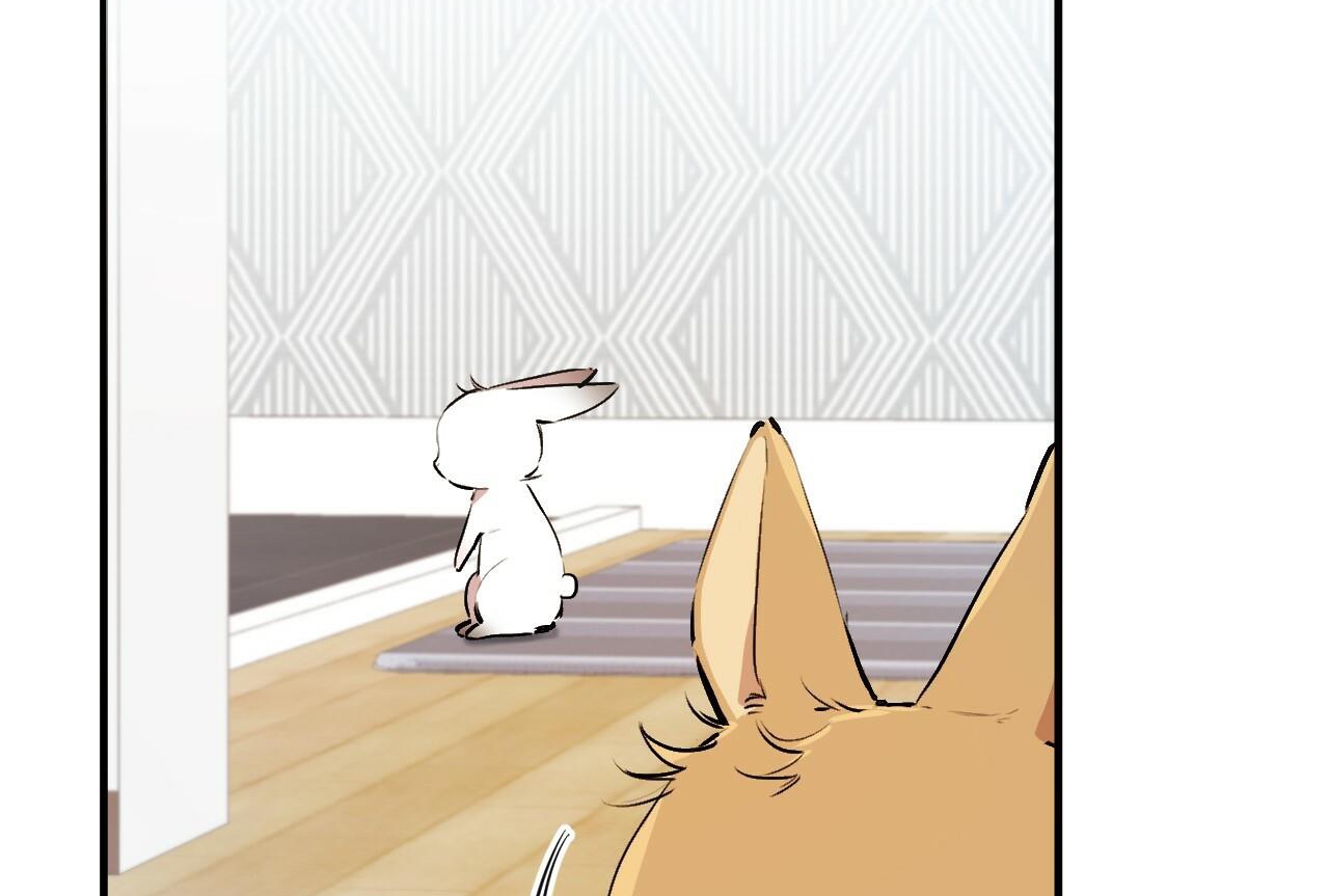 đàn thỏ của habibi chapter 32 120