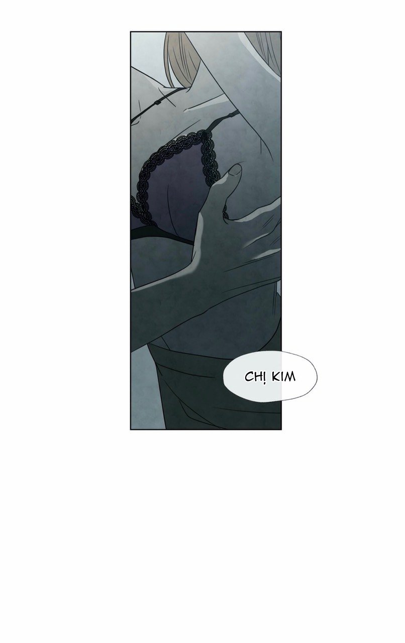 summer solstice point chapter 5 29