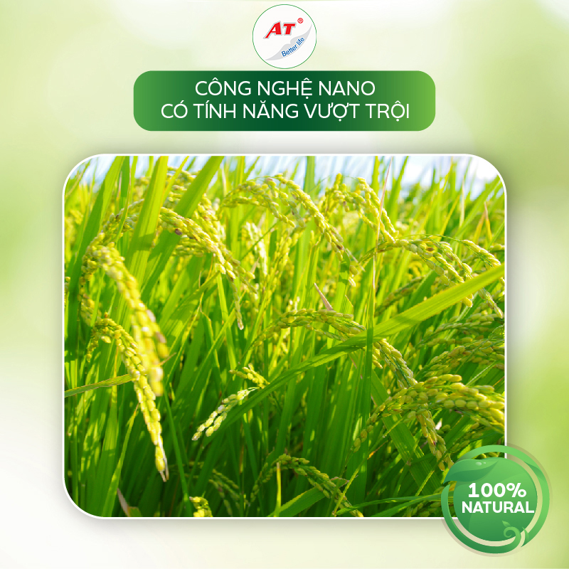Chống bạc lá, sọc đen vi khuẩn chuyên lúa – Nano Đồng lúa 500ml