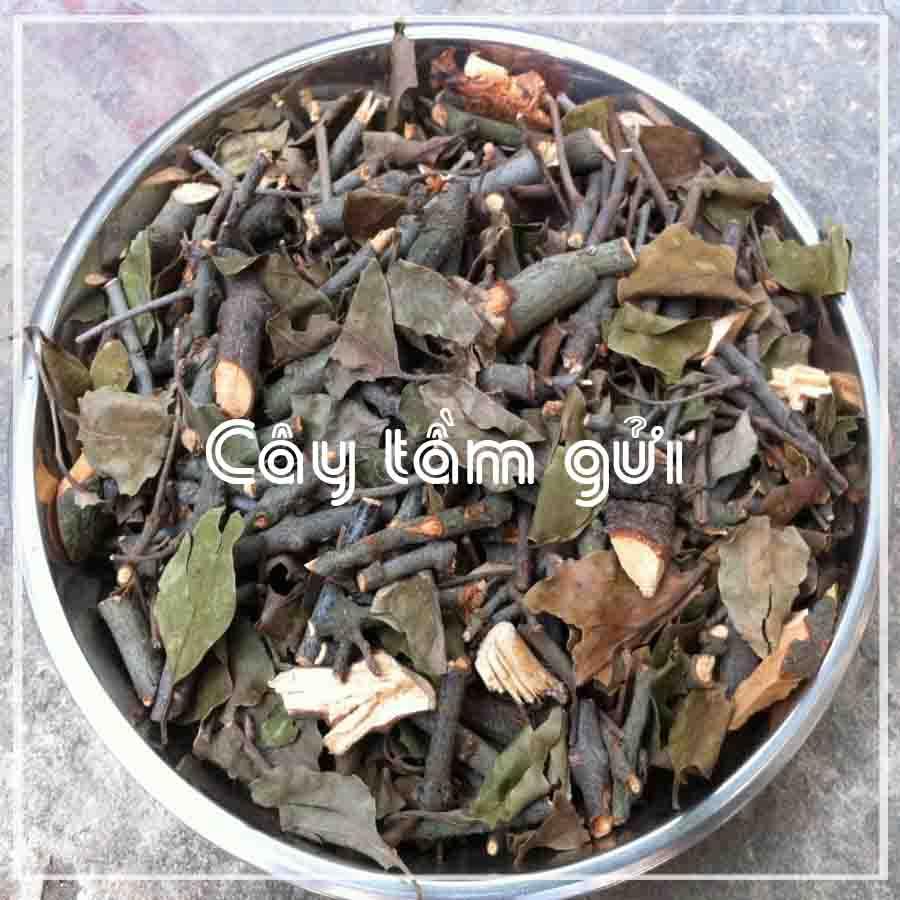 Cây Tầm Gửi Khô sạch đóng gói 500gram