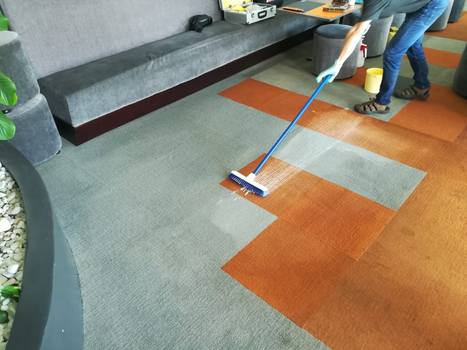 Nước Giặt Thảm Degrasan Carpet Care Nhập Khẩu Đức