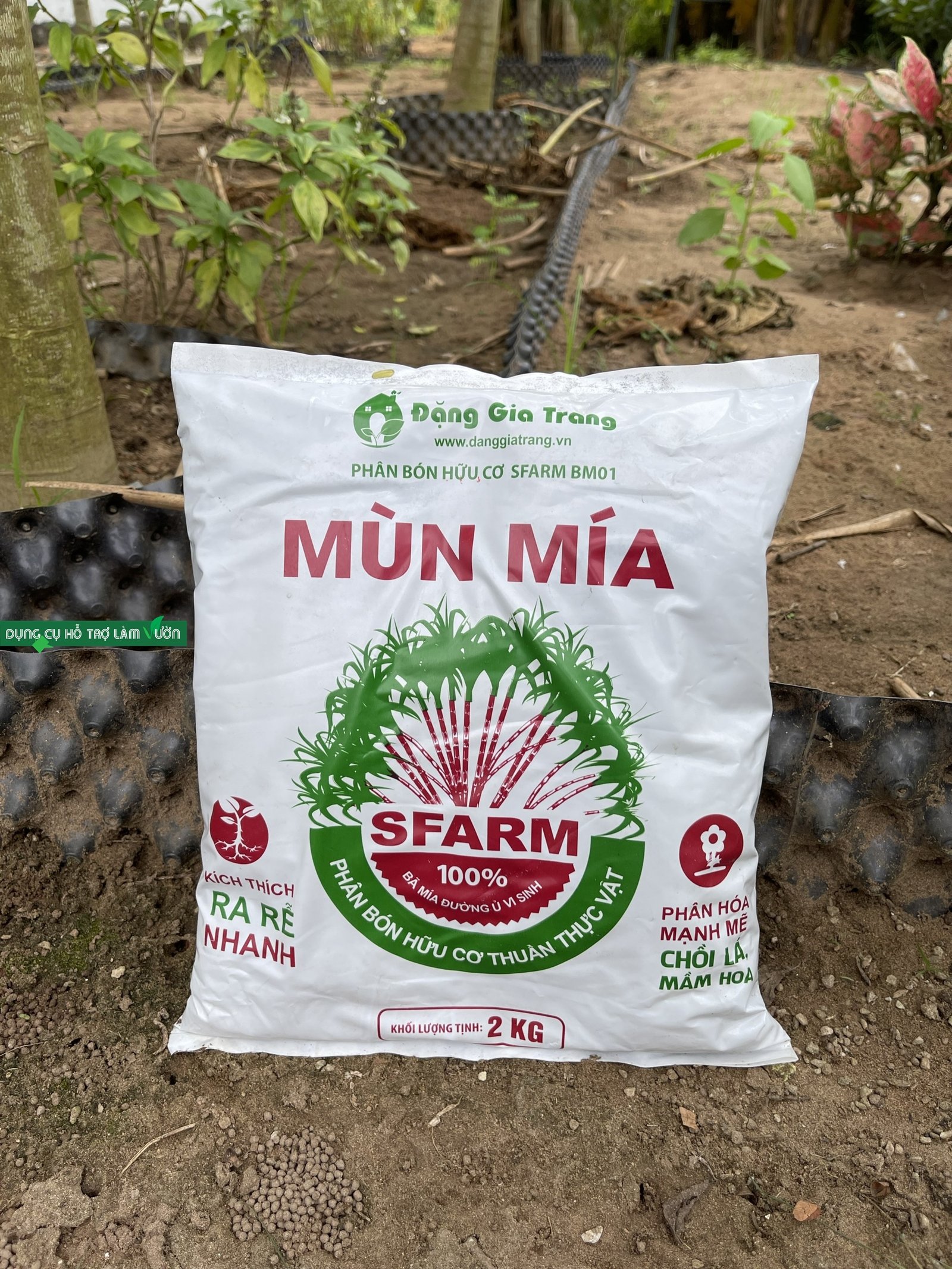 Mùn mía Sfarm gói 2kg