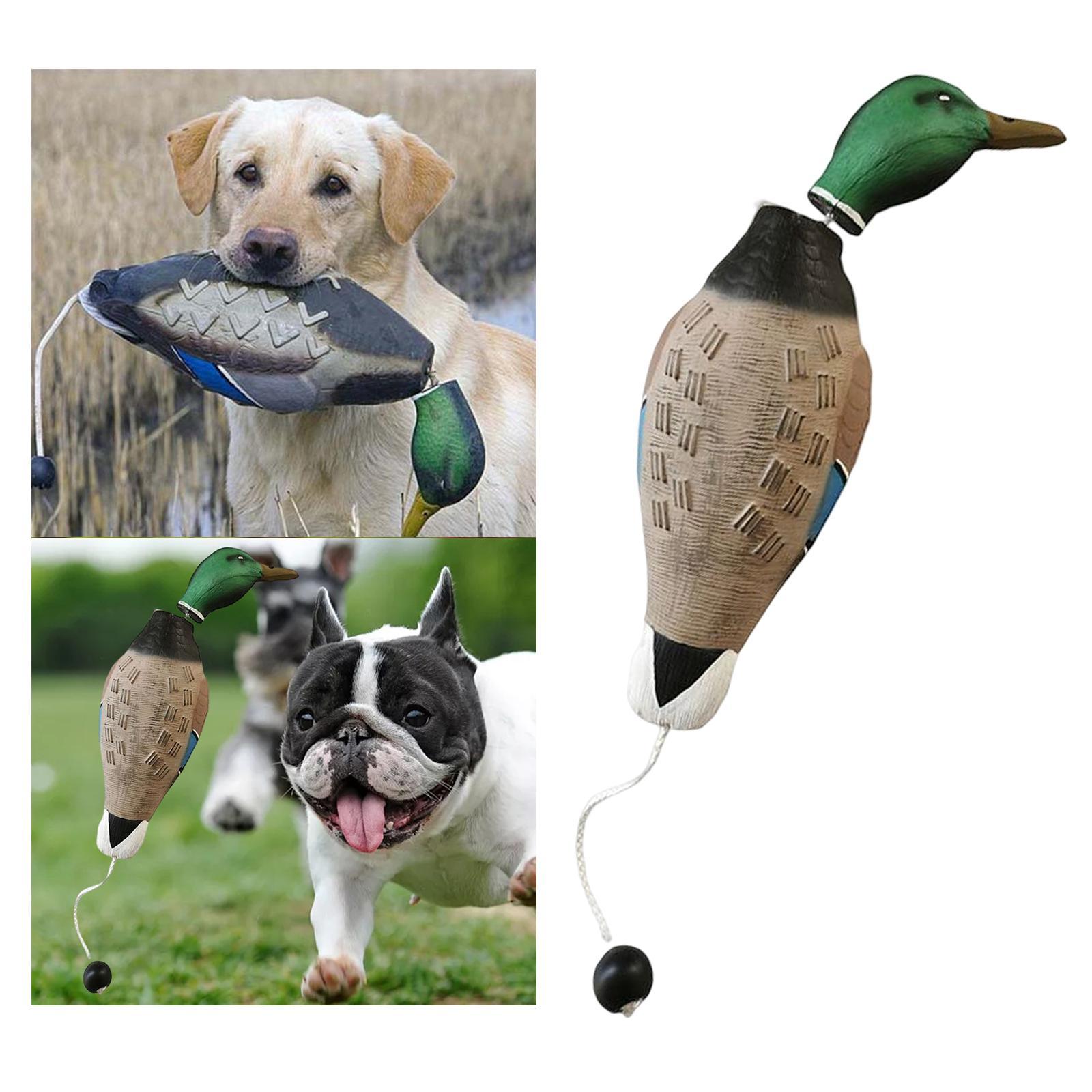 Mallard Duck Decoy Outdoor Scarecrow Hunting Decoy Hiking for Dog Chewing