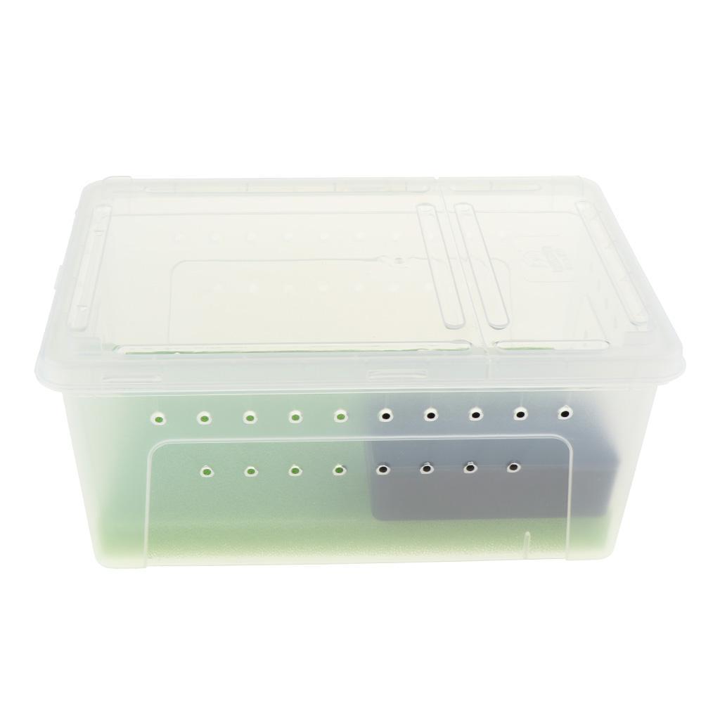 Reptile Amphibian Habitat Terrarium Vivarium Breeding Box