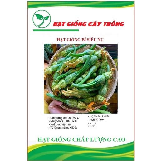 Hạt giống bí siêu nụ CT13 - Gói 10 hạt