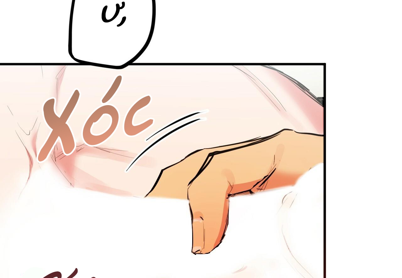 đàn thỏ của habibi chapter 29 50