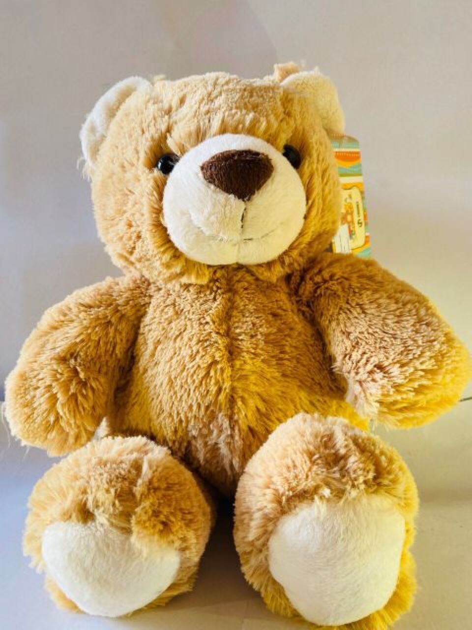 Gấu Bông Teddy Cao Cấp OSSSO80 Cao 80cm Tặng balo Canvas Đựng Gấu