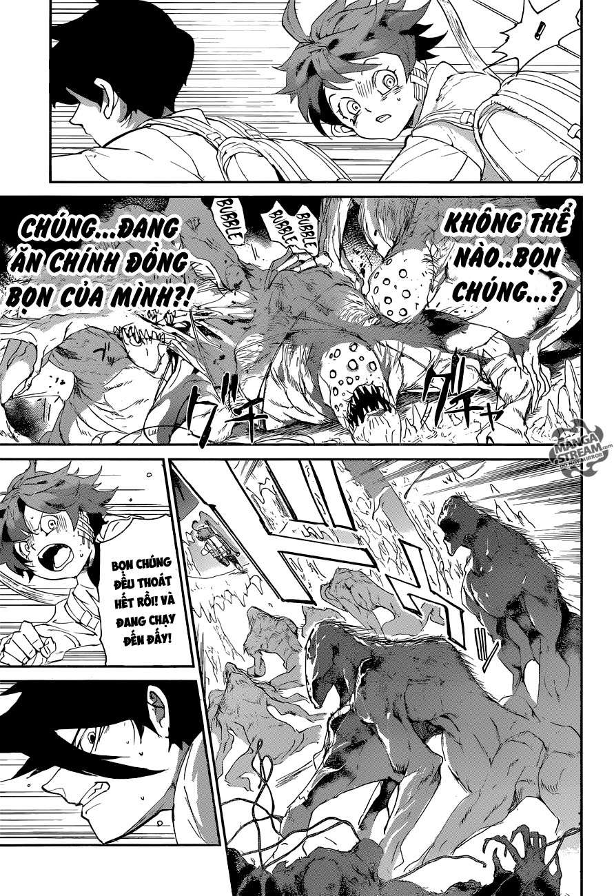 miền đất hứa chapter 62 10