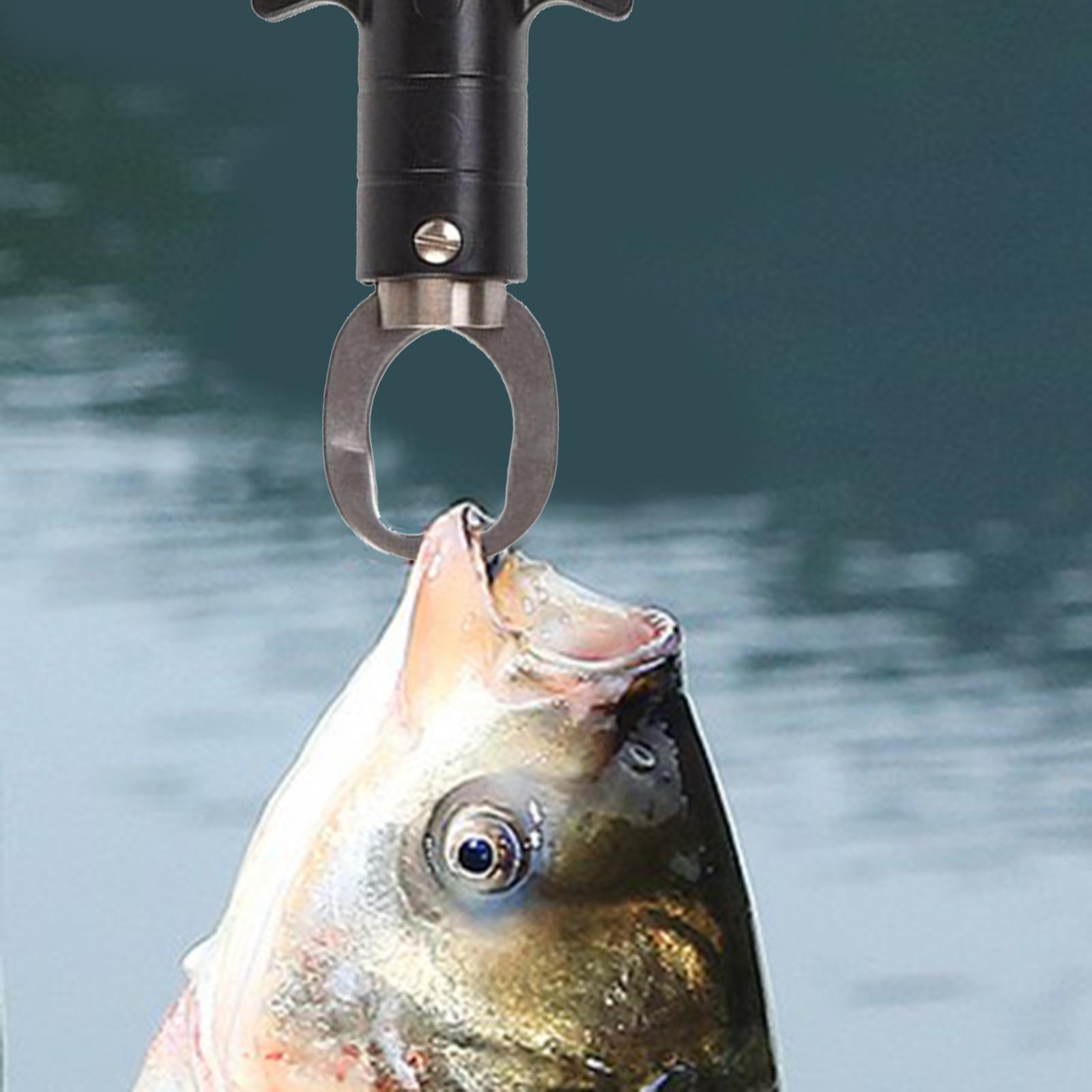 Fish Lip Gripper Fish Scales Professional Fish Holder Stainless Steel Fish Lip Grabber 55 Pound Fish Lip Grip Tool with Weight Scale