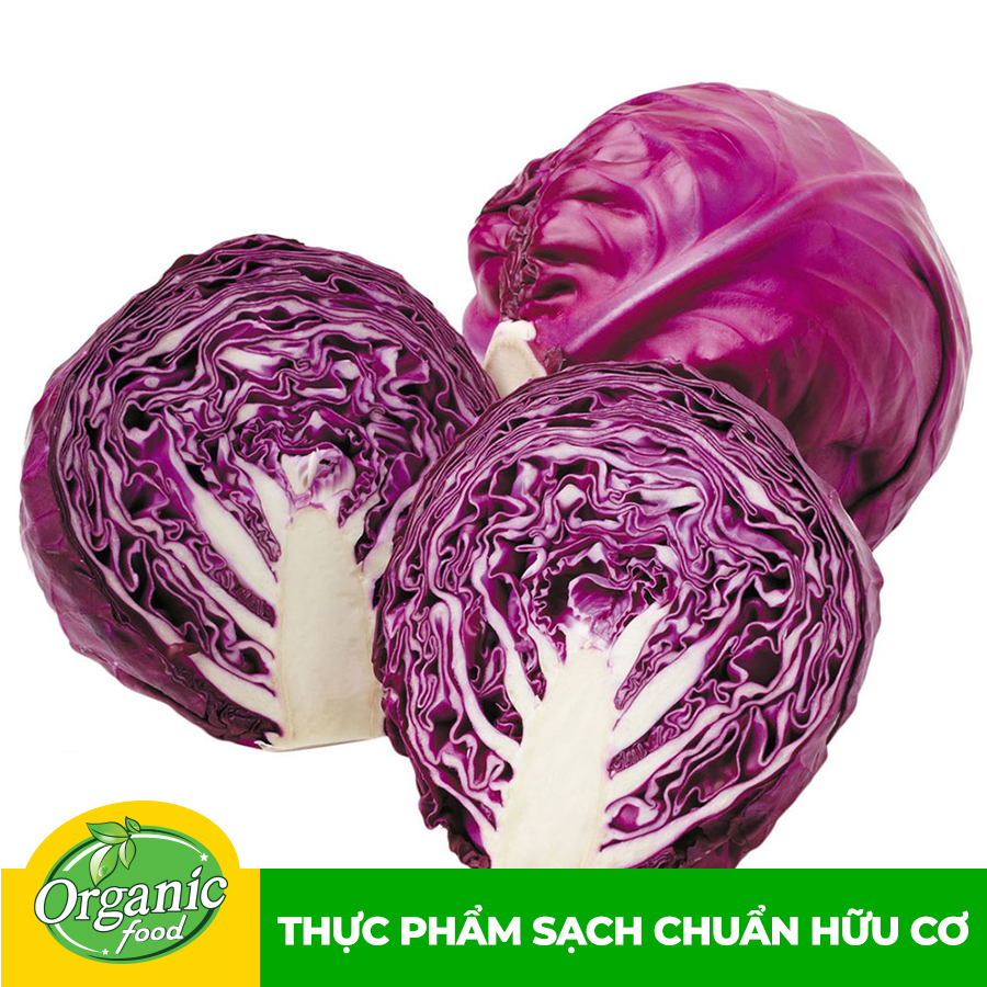Bắp cải tím 500g