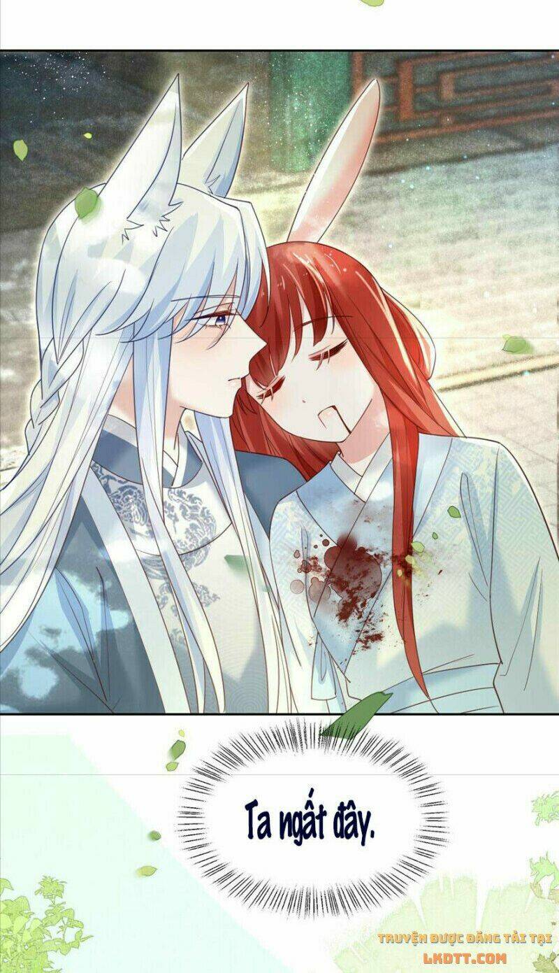 hắc hóa nam chính trực tuyến nuôi thỏ chapter 67 34