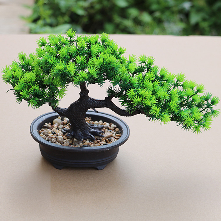 Chậu Cây Bonsai Dáng Cây Thông Trang Trí Nhà Cửa Sang Trọng - Hoa Giả, Cây Giả
