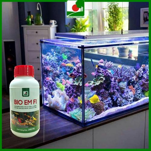 LÀM SẠCH NƯỚC, GIẢM MÙI TANH CHO HỒ CÁ CẢNH - CHUYÊN BỔ SUNG LỢI KHUẨN, XỬ LÝ HỒ NƯỚC CÁ CẢNH BIO EM F1