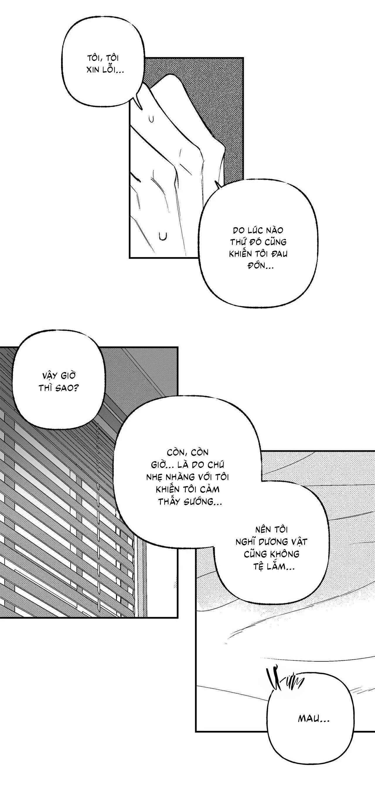 (cbunu) sự kết hợp hoàn hảo chapter 43 11