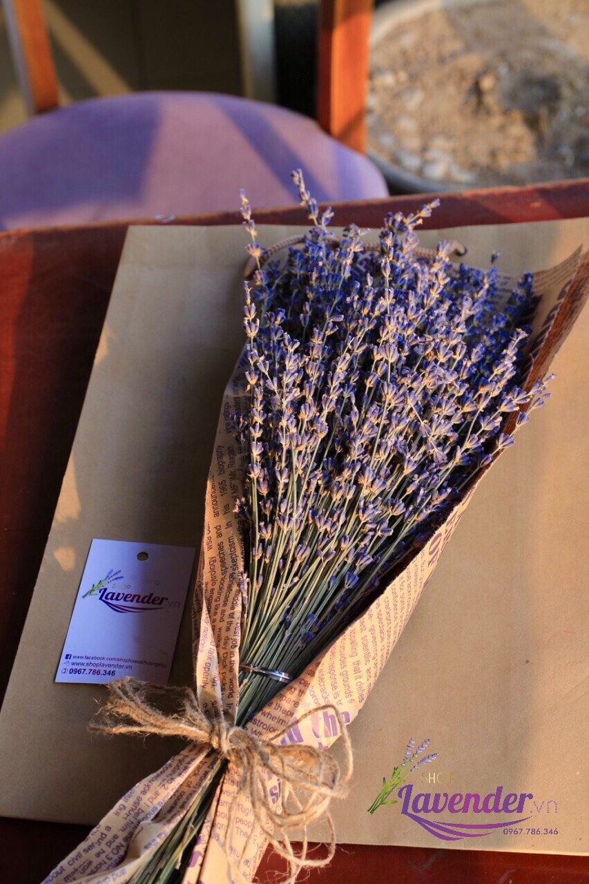 Hoa oải hương Lavender khô nhập khẩu Pháp organic mùi thơm tự nhiên trang trí decor nhà cửa (Bó 300 cành)