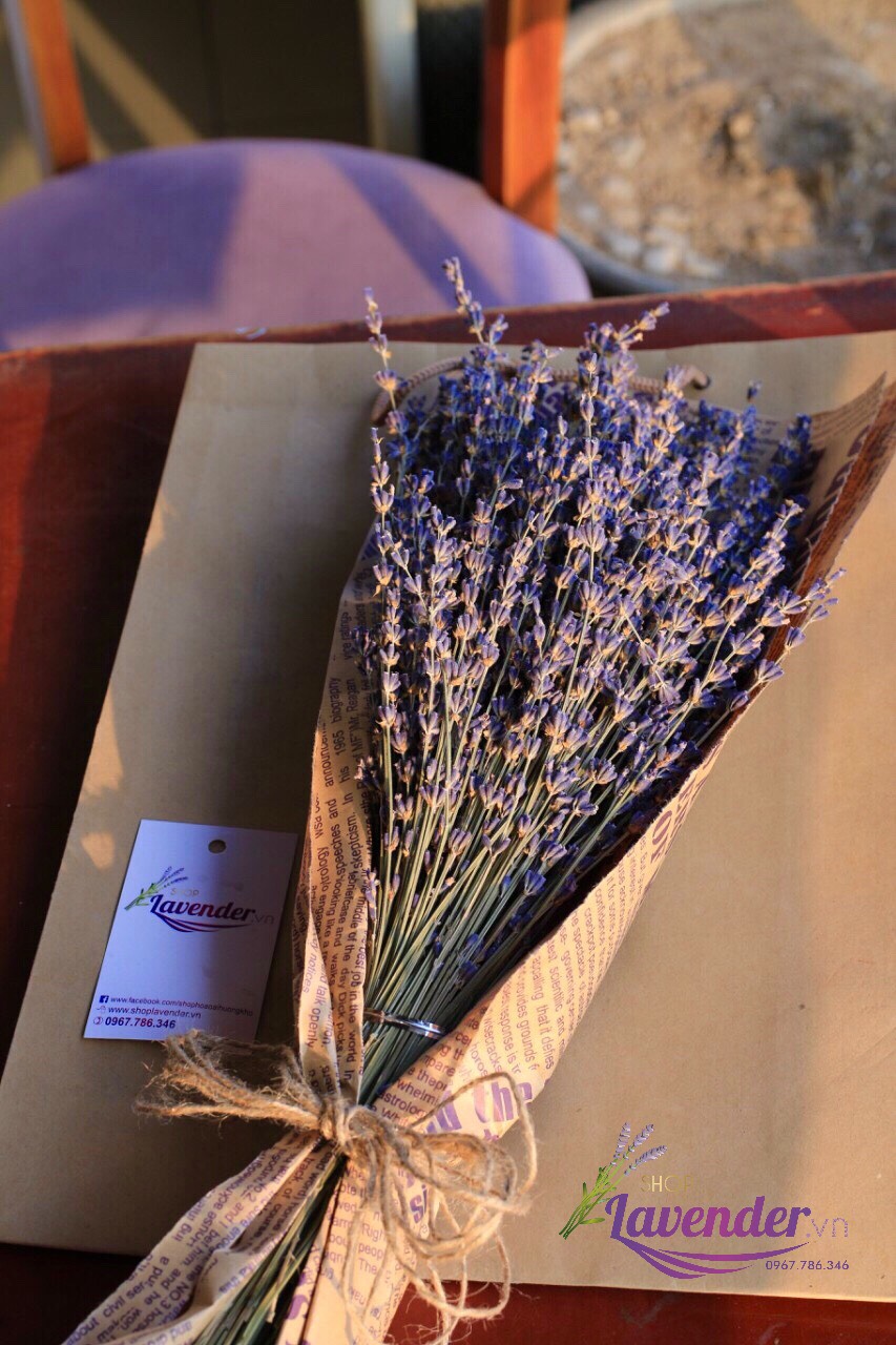 Hoa oải hương Lavender khô nhập khẩu Pháp organic mùi thơm tự nhiên trang trí decor nhà cửa
