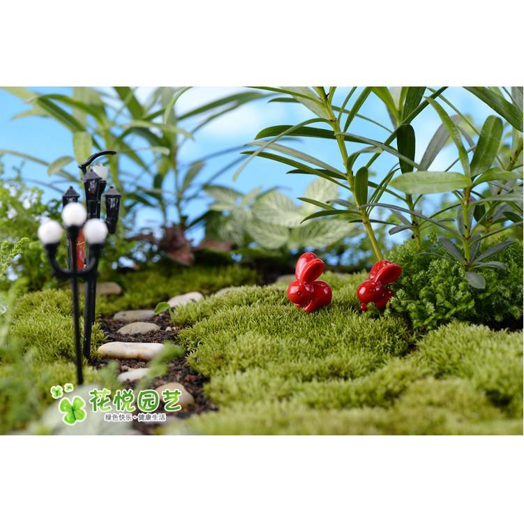 Combo đôi thỏ ngọc Trắng và Đỏ siêu cute trang trí tiểu cảnh