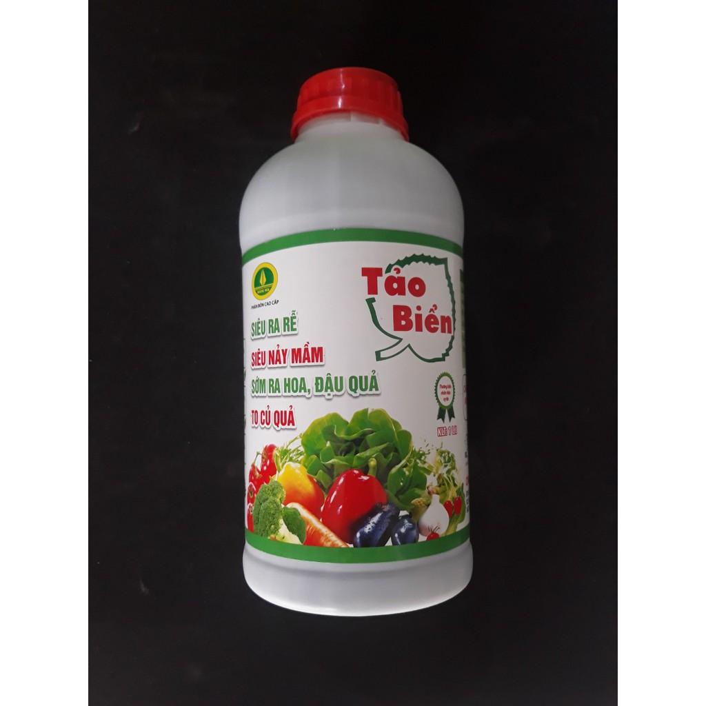 Phân tưới rễ Tảo Biển ra rễ, nảy mầm, sớm ra hoa đậu quả, to củ quả