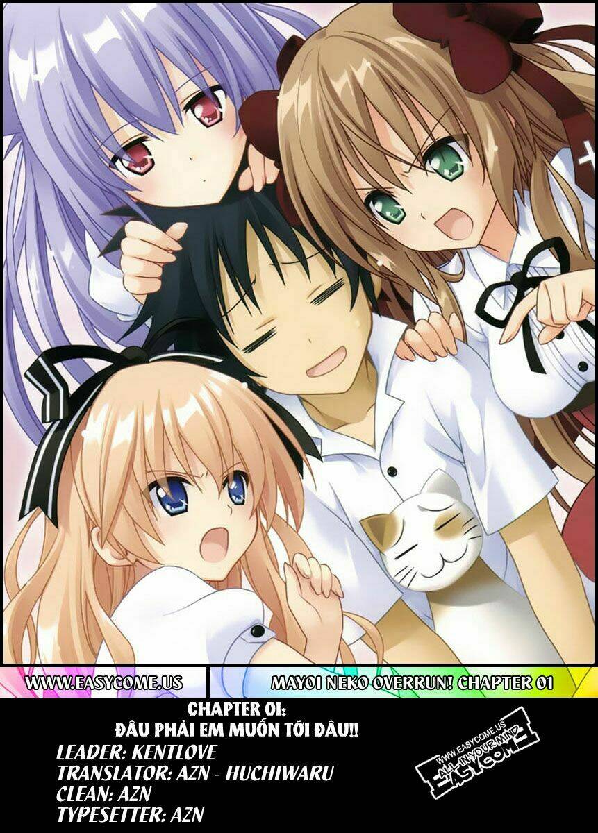 mayoi neko overrun! chapter 1 1