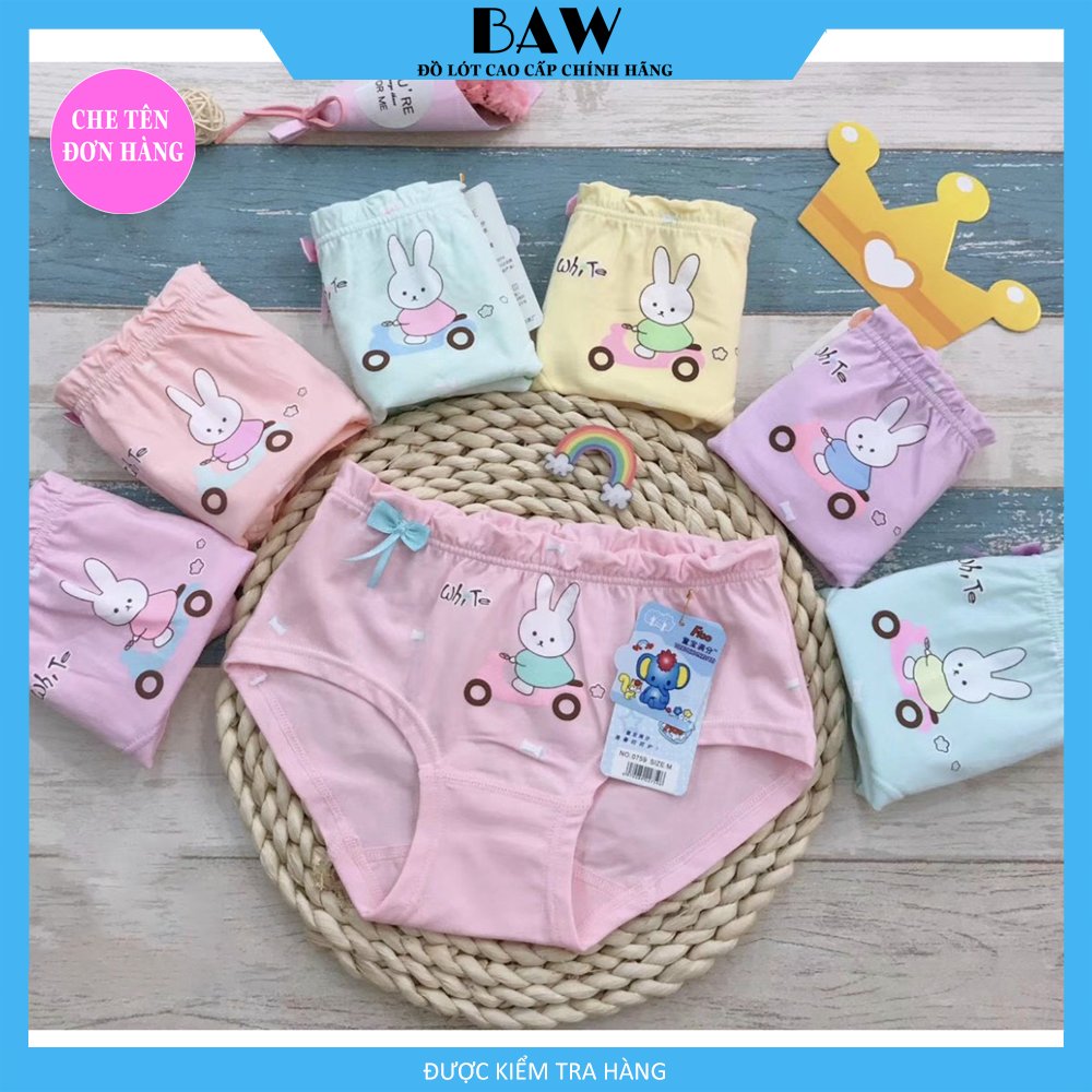 Quần Chip Bé Gái, Combo 5 Quần Lót Lưng Thun Cho Bé, Quần Lót Cotton Họa Tiết Đáng Yêu Xinh Xắn Cho Bé Gái QLTE06