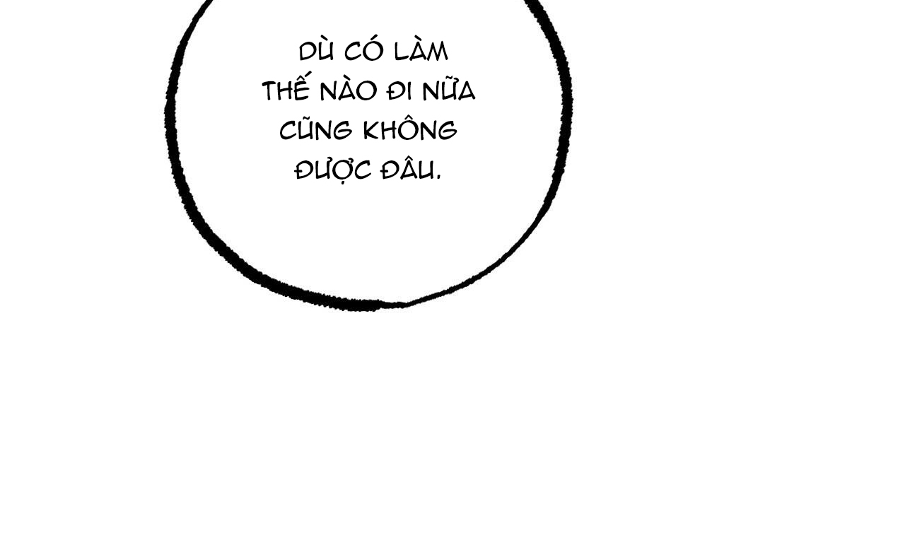 đàn thỏ của habibi chapter 31 123