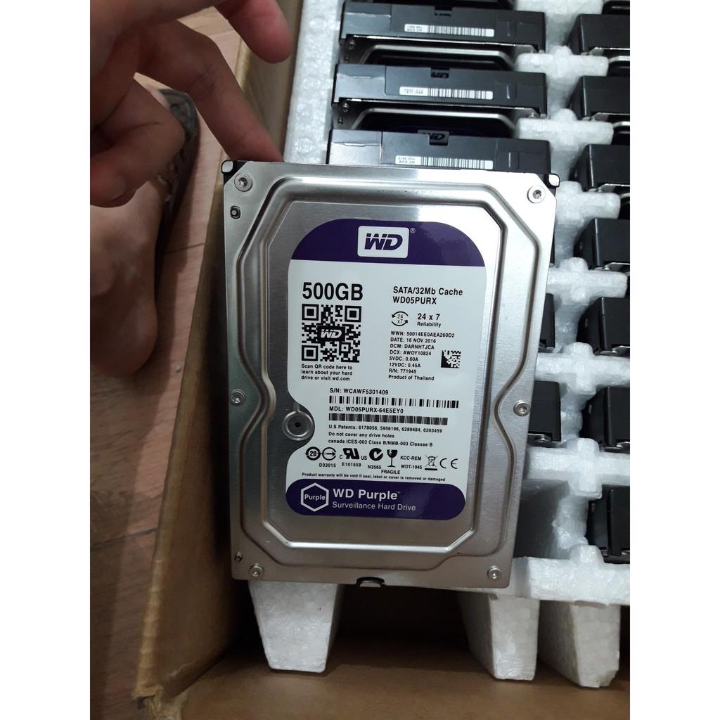 Ổ cứng 500gb Purple - Hàng Chính Hãng