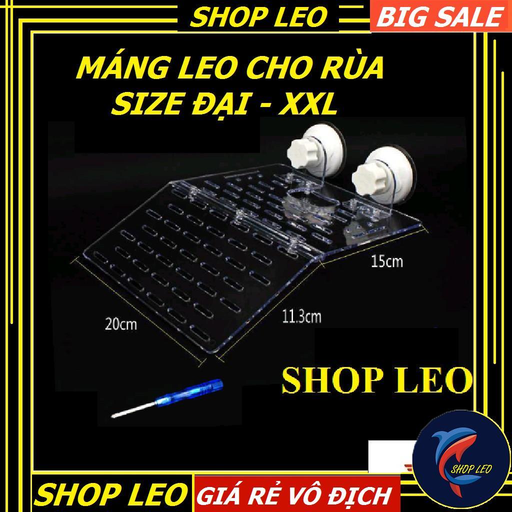 MÁNG LEO CHO RÙA NƯỚC MIKA SIZE TO