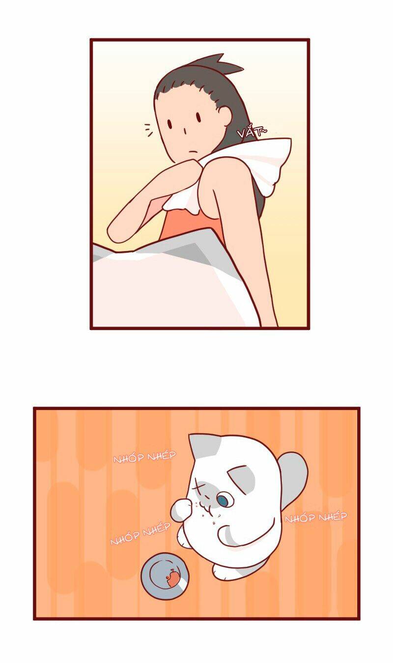 saphie: chú mèo một mắt chapter 11 7