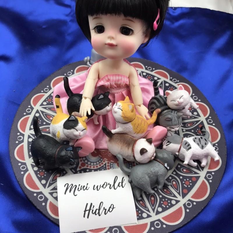 Combo mô hình bé mèo hoàng thượng tí hon mini cute mặt đánh yêu dành cho trang trí nhà búp bê Bb bjd tỉ lệ 1/8