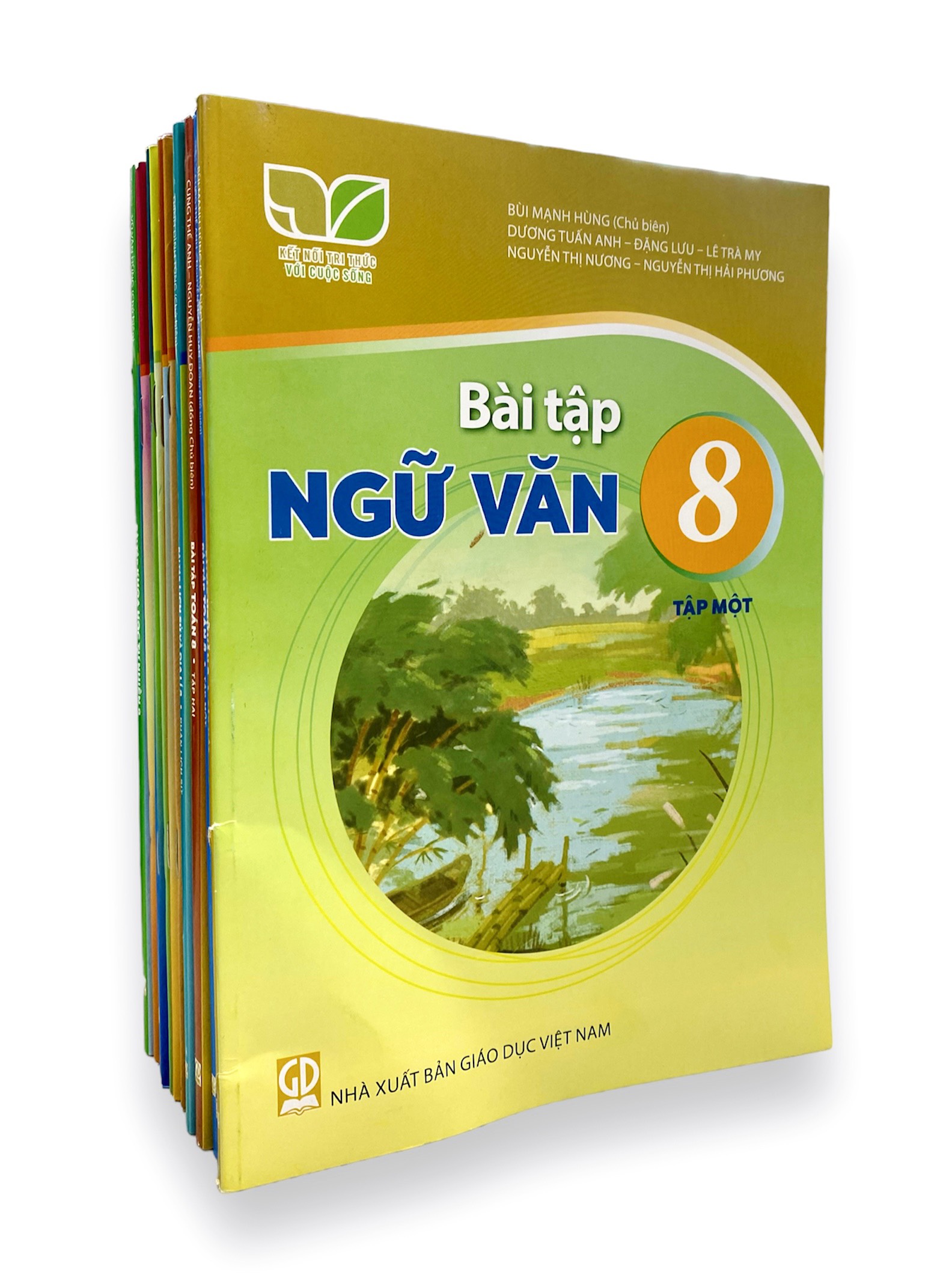 Sách - Bộ 13 cuốn sách bài tập lớp 8
