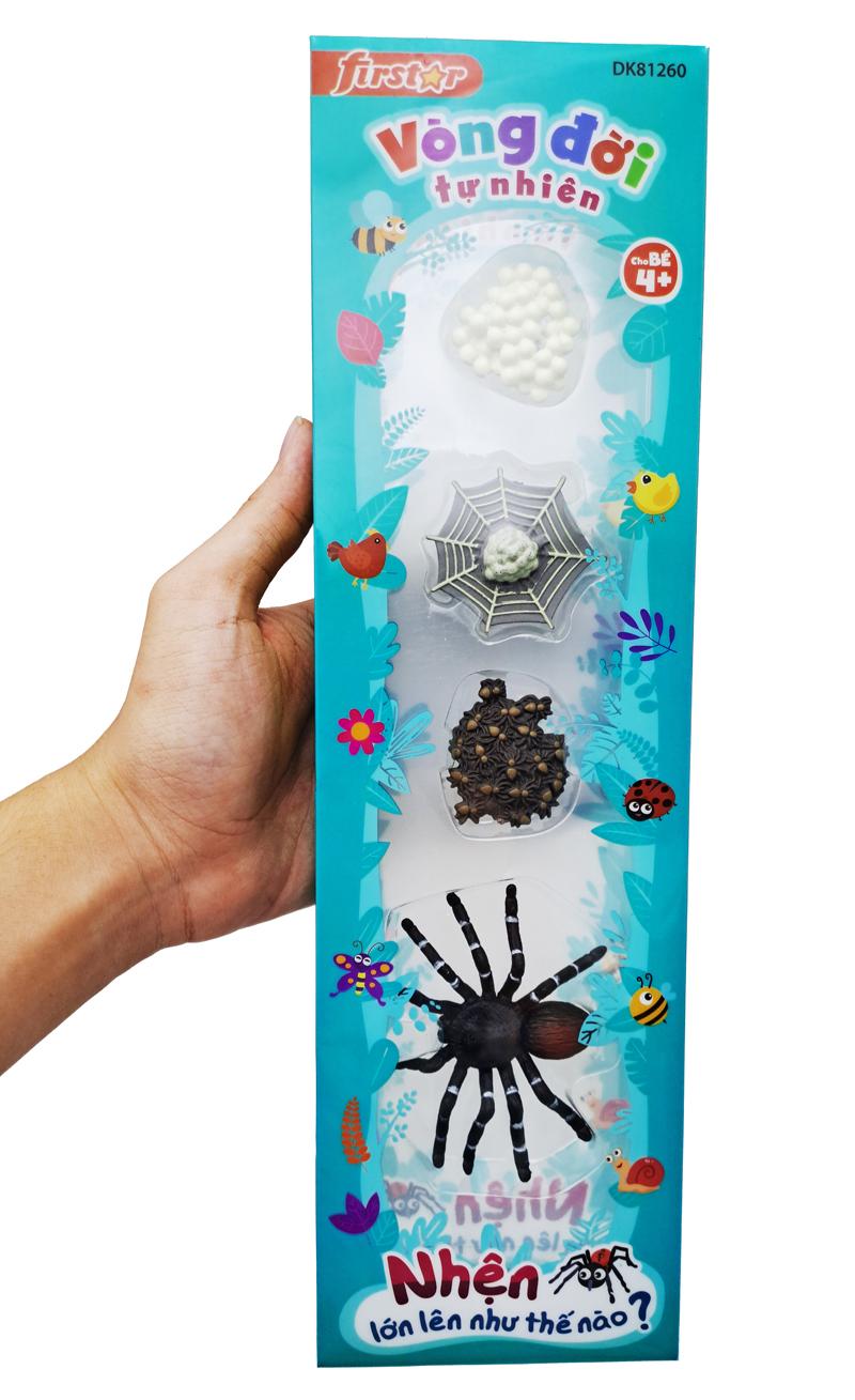 Đồ Chơi Mô Hình Vòng Đời Tự Nhiên - Nhện Lớn Lên Như Thế Nào? - Firstar DK81260