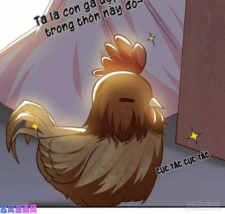 hoàng tử phu quân, ta nuôi ngươi a! chapter 2 105