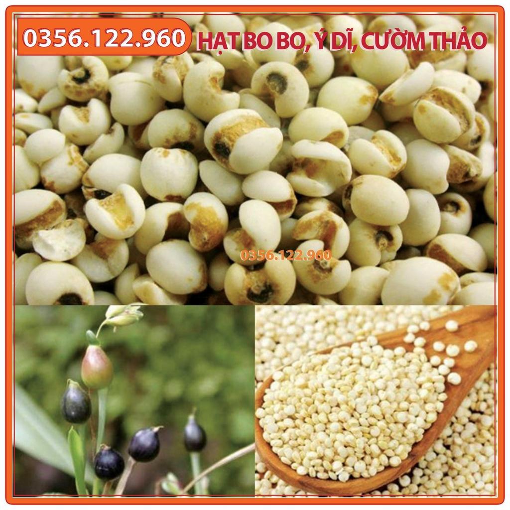 Hạt Cây Bo bo Cây Ý Dĩ Cườm Thảo - gói 1kg - dùng cho chăn nuôi gia súc, gia cầm, thiên cầm