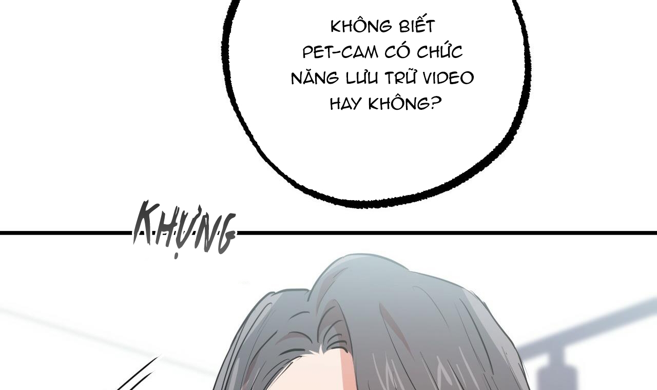 đàn thỏ của habibi chapter 34 43