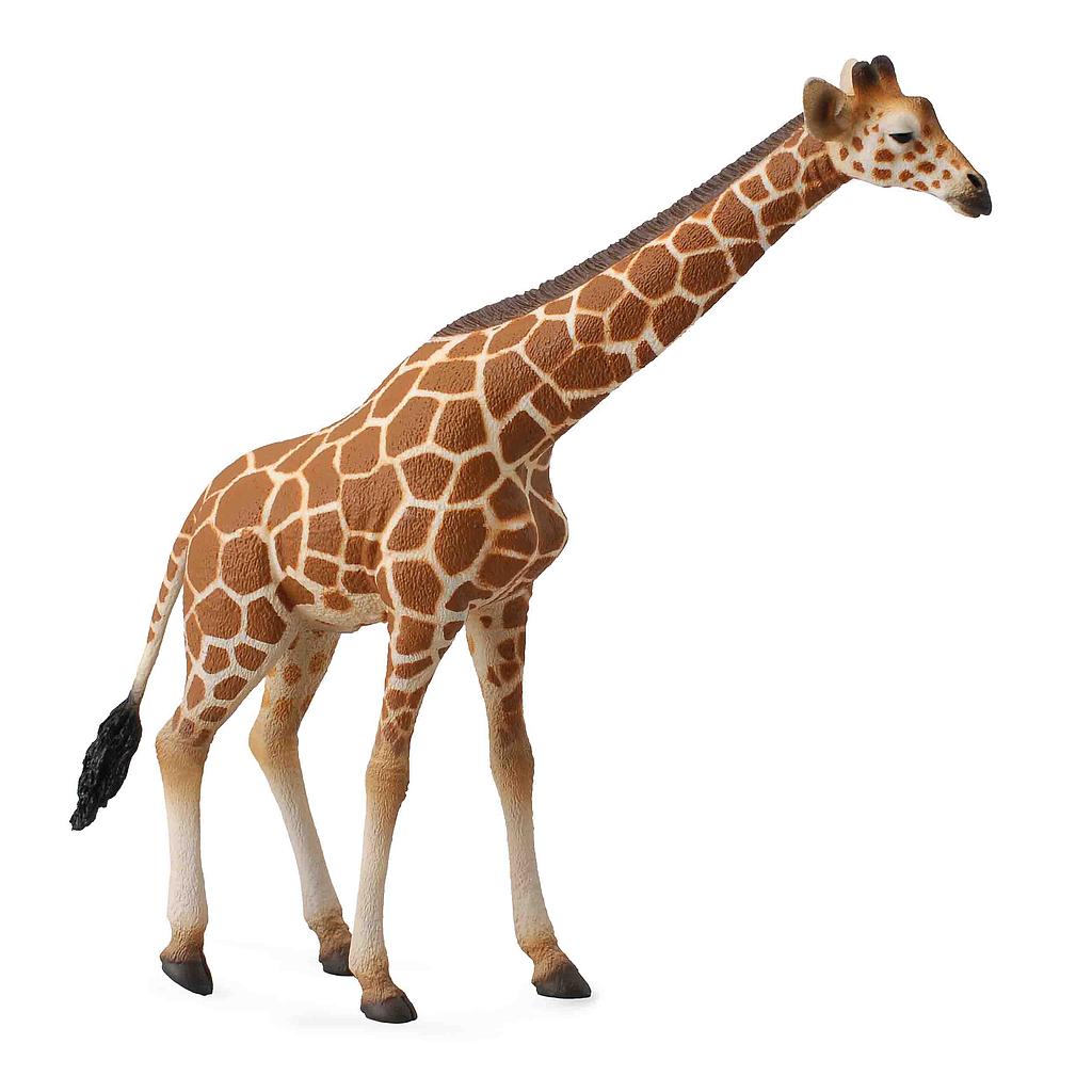 Mô hình thu nhỏ: Hươu Cao Cổ - Reticulated Giraffe, hiệu: CollectA, mã HS 9651060 - Chất liệu an toàn cho trẻ - Hàng chính hãng