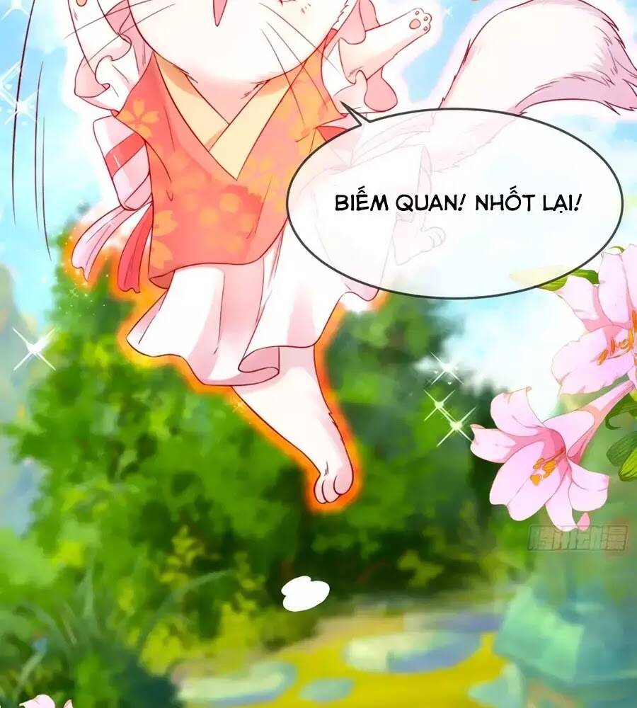 dưỡng thú vi phi chapter 5 2