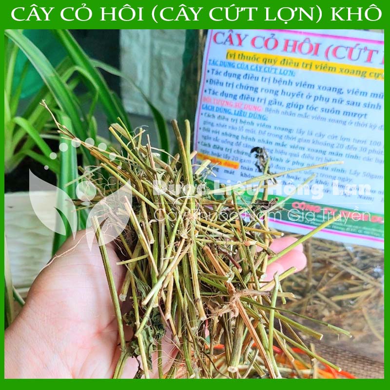 Hình ảnh Cây Cỏ Hôi (Cây Cứt Lợn) khô 1kg